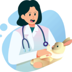 Diseño Web para Veterinarios Diseño Web para Veterinarios